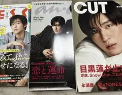 目黒蓮表紙雑誌3冊まとめ売り