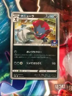 ジムプロモ　第９弾　マニューラ