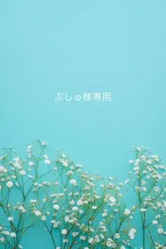 ぷしゅ様専用