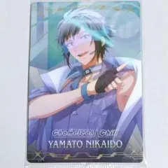 ウエハース26 シャフユニ Chameleon Chill 大和