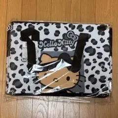 サンリオ 保温保冷BIGマルチバッグ Ver.11 ハローキティB