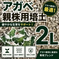【アガベ 親株用培土 2L】オリジナルブレンド培土のサムネイル