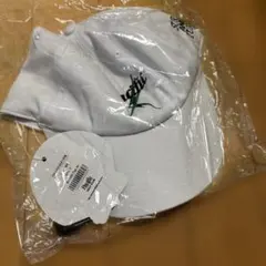 Item thumbnail for item 8adf7628-0650-4e36-bbdd-3d54099e8631