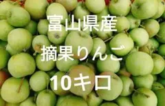 富山産　サンふじ　摘果りんご　10キロ 減農薬栽培のサムネイル
