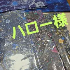 ハロー様専用ページ✨リバティ小物入れ&ミラーオーダー✨アデラジャインスペース巾着