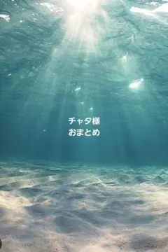 チャタ様おまとめ