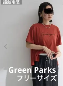 Green Parks フロッキー筆記体ロゴボックスTシャツ　オレンジ　フリー