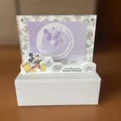 東京ディズニーリゾート フォトフレーム