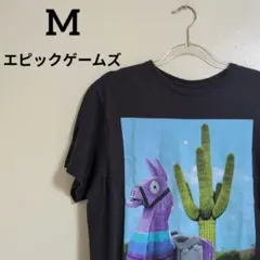 Item thumbnail for item 957f76a5-bad1-4141-a2fc-e6e19285e54b