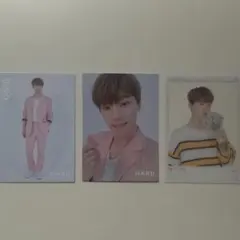 SEVENTEEN セブチ トレカ HARU ディノ