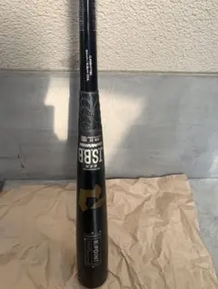 Item thumbnail for item 58410141-a8d7-4728-a357-449a0cf5d188