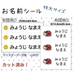 Item thumbnail for item af0c7491-4c05-4231-bfe9-357b242dc5fd