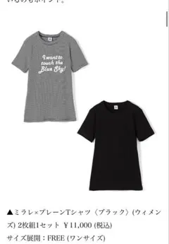 PETIT BATEAU プチバトー✖️トゥモローランド　細ボーダーTシャツのサムネイル