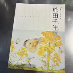 プチファーブル 熊田千佳慕展 自然は愛するからこそ美しい 画集