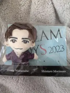 DREAM BOYS　ぬいぐるみ　アクスタ　渡辺翔太