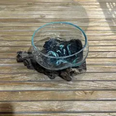 【送料込】バリ島流木ガラス　ガラスΦ20cm前後 苔リウム204Dアクアリウム