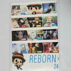 家庭教師ヒットマンREBORN 切り抜き【カラー 非売品 冊子・ブック