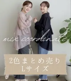 Item thumbnail for item 52d0708a-c0d4-4272-bb88-dffd3ba95ae0