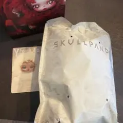 SKULLPANDA You Found Me sandman