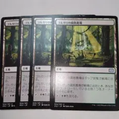 MTG ゴルガリの腐敗農場 4枚セット