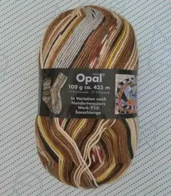 opal 毛糸 フンデルトヴァッサー 1436 新品 靴下編み 段染め