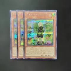 遊戯王 アロマージーローリエ シークレット 遊戯王 アロマージーローリエ シークレット 3枚 Y264 - メルカリ