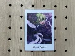 巴日和　ぱしゃっつ