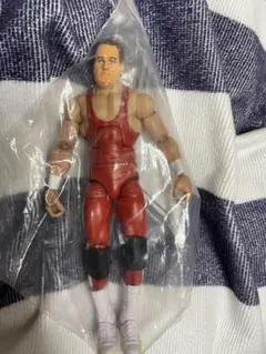 WWE マテル　エリート　ミルコ・クロコップ　カスタムフィギュア 2025年最新】WWEマテルの人気アイテム - メルカリ