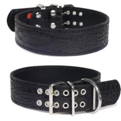 Item thumbnail for item c931c95e-161a-4303-a93c-e72cd29ec204