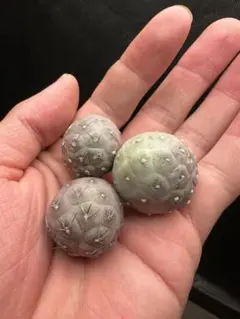 かおりん様 リクエスト 2点 まとめ商品