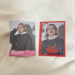 山本彰吾　フォトカ2種　PRIMAL SPIDER