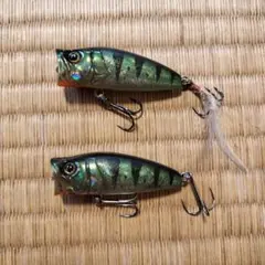 Item thumbnail for item 51c40876-00e7-459b-a423-499e2ed61580