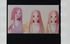 劇場版 五等分の花嫁 第6弾 生コマフィルム 幼少期