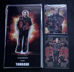 THE REASON 山本彰吾 アクスタ フォトカ