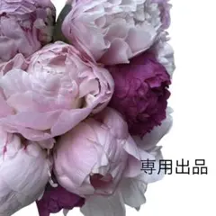 Item thumbnail for item 2c87bebd-549b-46f9-bf3f-c643d4db2331