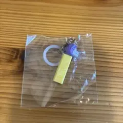 PEZ ペッツ めじるしアクセサリー ライオン ガチャ 未開封 チャーム
