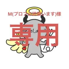 M(プロフ必読願います)様　専用