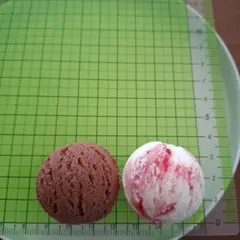 食品サンプル（アイス２種）