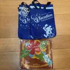 東京ディズニーランド バケーションパッケージ バッグとレイセット