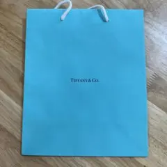 Tiffany & Co. ティファニー　未使用　ショッパー 水色のサムネイル