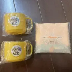 【未使用】ディズニーランドホテルアメニティ　ミッキー♡ミニー　エコバッグ