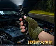 Item thumbnail for item 41bf5ed6-8bab-4652-ae5f-644ec542dab3