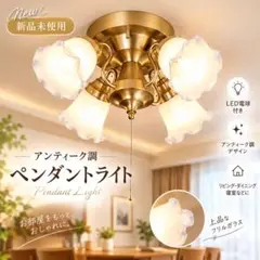 신품 골동품 샹들리에 펜던트 라이트 LED 전구 포함 세련된 조명