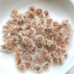 Mika様 リクエスト 2点 まとめ商品