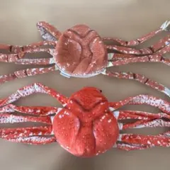 Item thumbnail for item 55396b1b-c1be-4949-bf1c-dc28887dc7ef