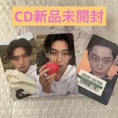 ENHYPEN THE SIN:VANISH ソヌセット