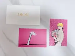 Dior イラストカード 封筒 ギフトメッセージ レターケース カードケース
