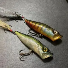 2025年最新】トップウォーターの人気アイテム - メルカリ