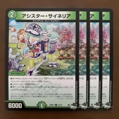 97834 アシスターサイネリア