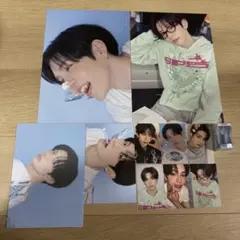 ショウタロウ　シーグリ